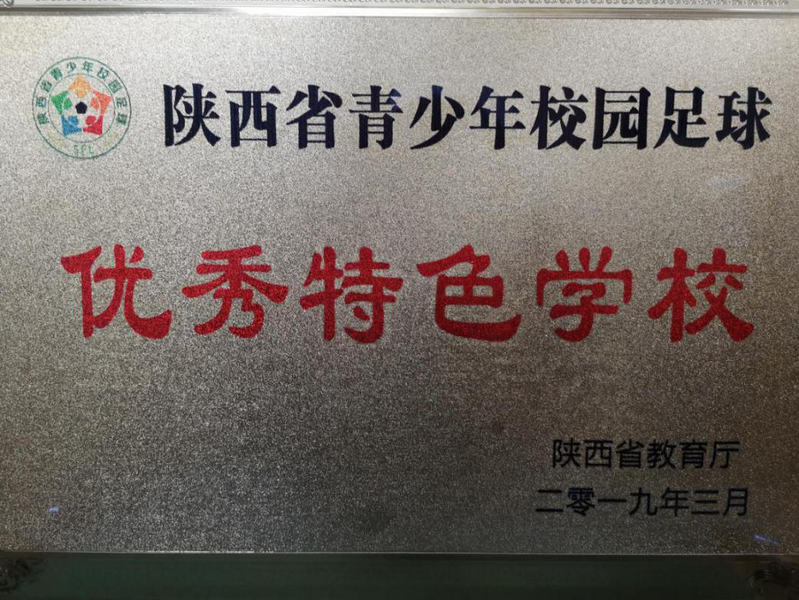 陕西省青少年校园足球优秀特色学校201903_调整大小.png