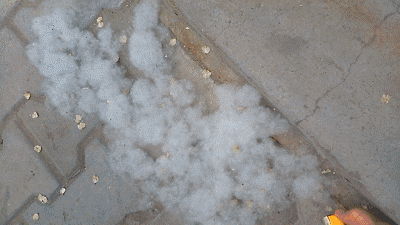 1589770320769432.gif 1.gif