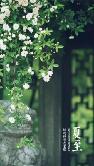 1593950702299346.png image.png