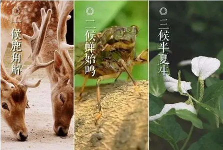 1593950756930532.png image.png