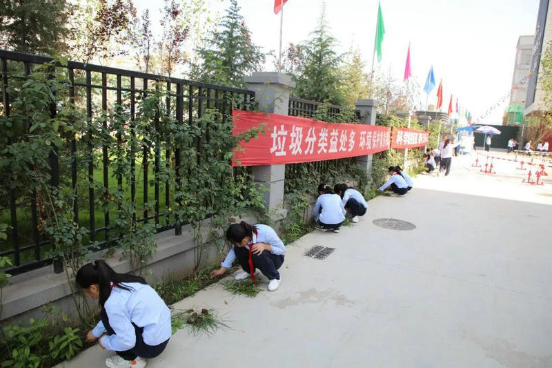 1594607011385846.jpeg 图片4.jpg