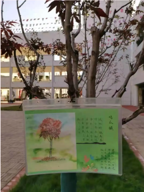 1622347963934524.png image.png